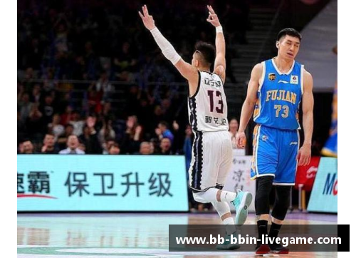 威尔逊篮球：传奇飞跃篮坛