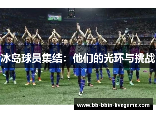 冰岛球员集结：他们的光环与挑战